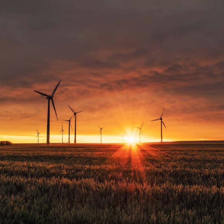 Wind farm at sunset