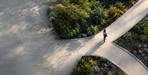 High-angle aerial view of a person walking along a curved pathway split by lush greenery, symbolizing conscious leadership choices and navigating organizational change