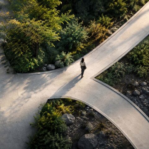 High-angle aerial view of a person walking along a curved pathway split by lush greenery, symbolizing conscious leadership choices and navigating organizational change