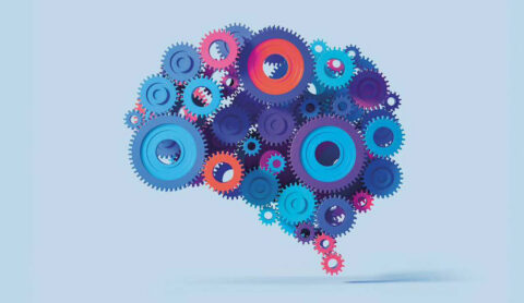 An illustration of a brain with cogs